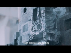 알루미늄 합금 다이 캐스트